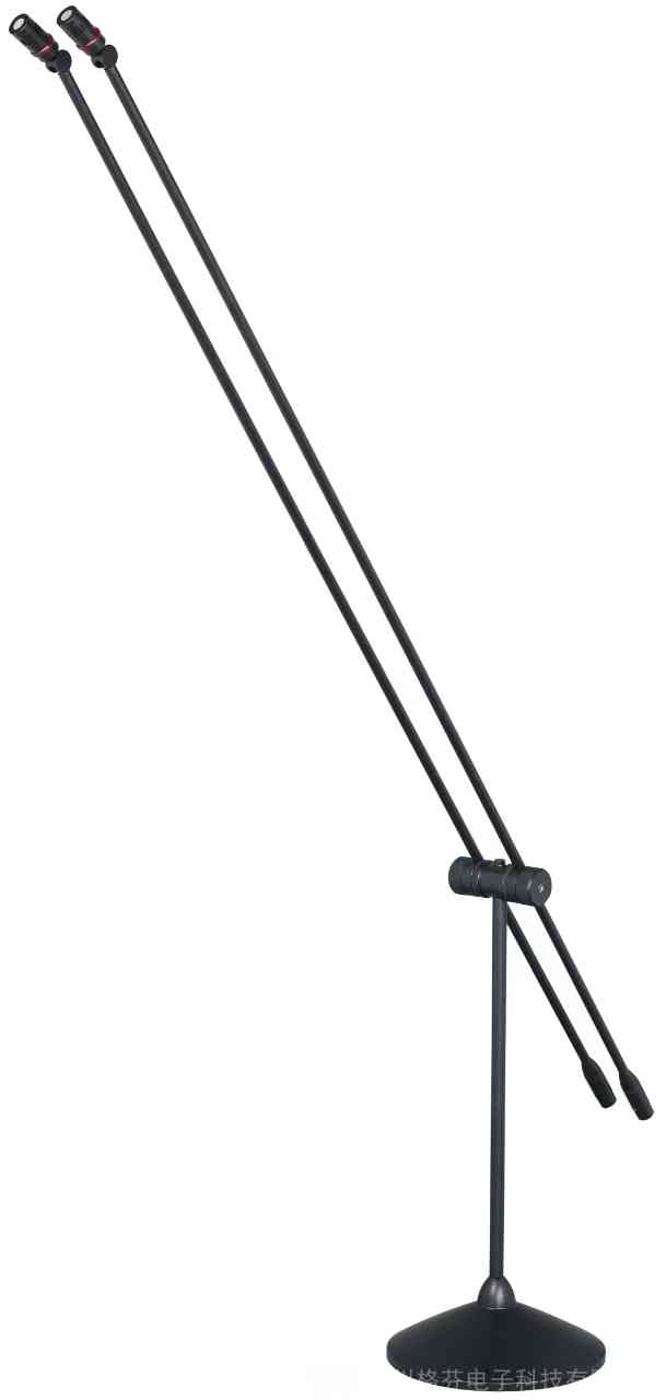 雙桿立桿式專(zhuān)業(yè)演講麥克風(fēng)
